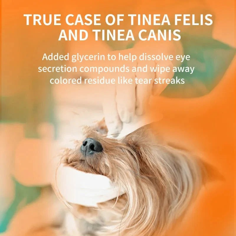 Gentle Eye Care for Happier, Cleaner Pets 🐶🐱