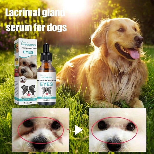 Gentle Eye Care for Happier, Cleaner Pets 🐶🐱